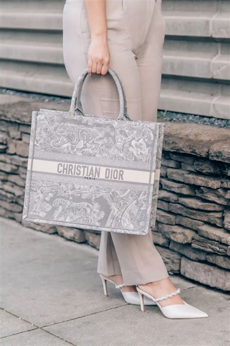 dior canvas bag dupe|best dior book tote dupes.